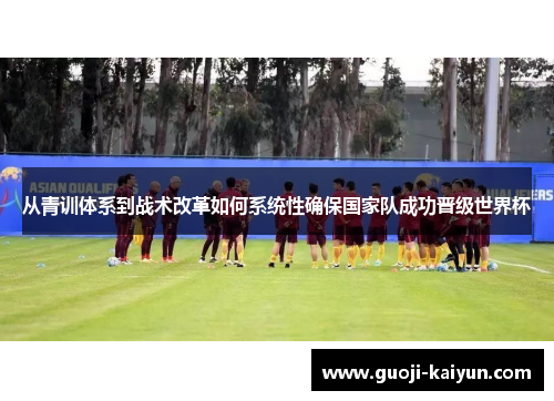 从青训体系到战术改革如何系统性确保国家队成功晋级世界杯