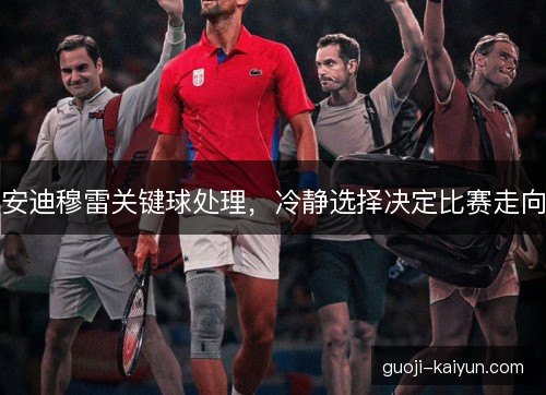 安迪穆雷关键球处理，冷静选择决定比赛走向
